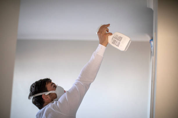 Office Mold Removal Services in Bossier City, LA