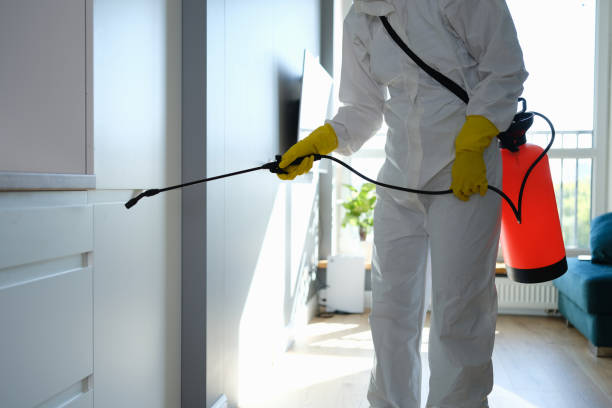 Bossier City, LA Mold Removal Company