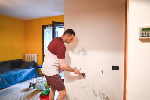Best Mold Cleaning Services  in Bossier City, LA
